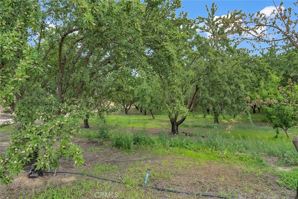 14706 Peach Ave, Livingston, CA 95334