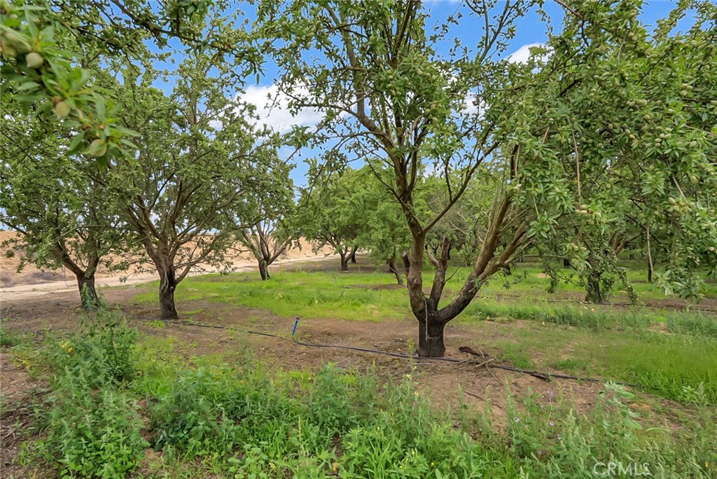 14706 Peach Ave, Livingston, CA 95334