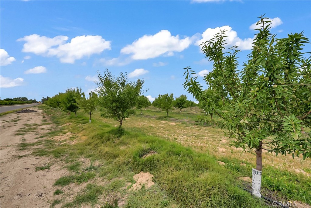 14706 Peach Ave, Livingston, CA 95334