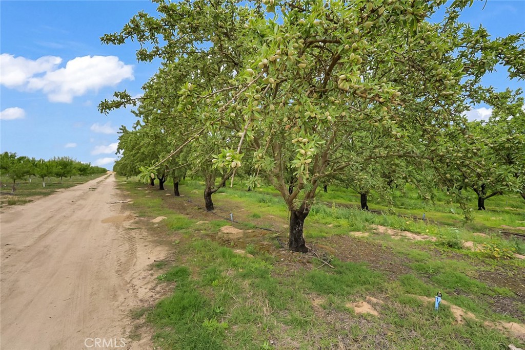 14706 Peach Ave, Livingston, CA 95334
