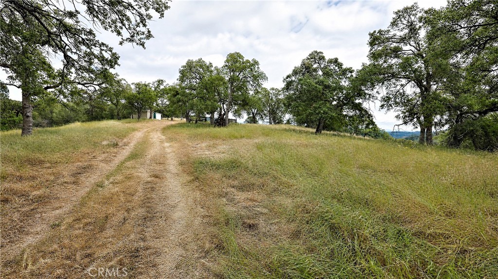 5616 Gold Creek, Mariposa, CA 95338