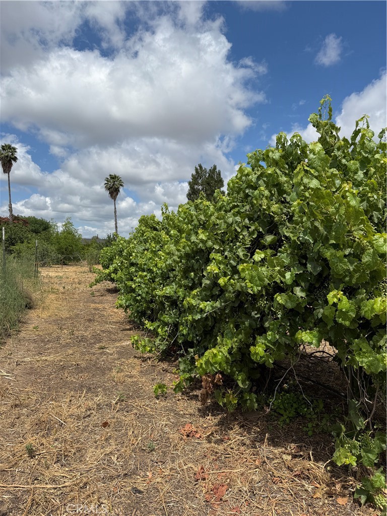 24437 Road 18 1/2, Chowchilla, CA 93610