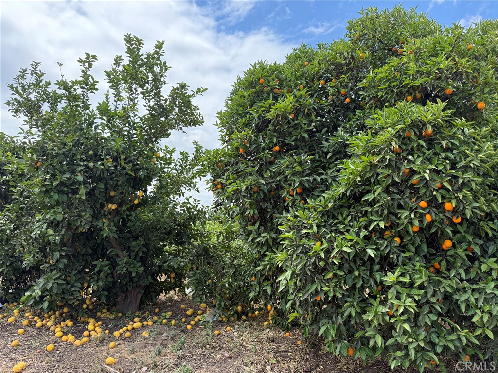 24437 Road 18 1/2, Chowchilla, CA 93610