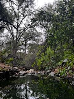 3631 Guadalupe Creek, Mariposa, CA 95338