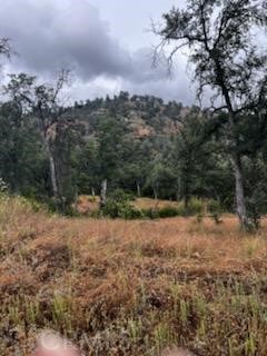 3631 Guadalupe Creek, Mariposa, CA 95338