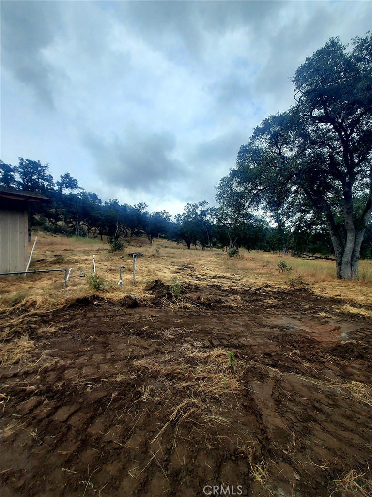 3631 Guadalupe Creek, Mariposa, CA 95338