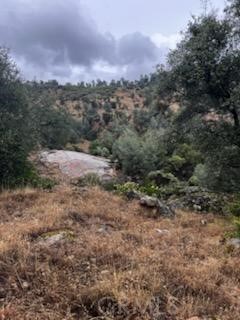 3631 Guadalupe Creek, Mariposa, CA 95338