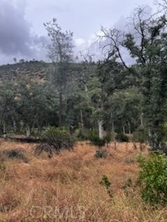 3631 Guadalupe Creek, Mariposa, CA 95338