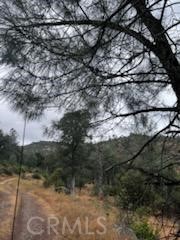 3631 Guadalupe Creek, Mariposa, CA 95338