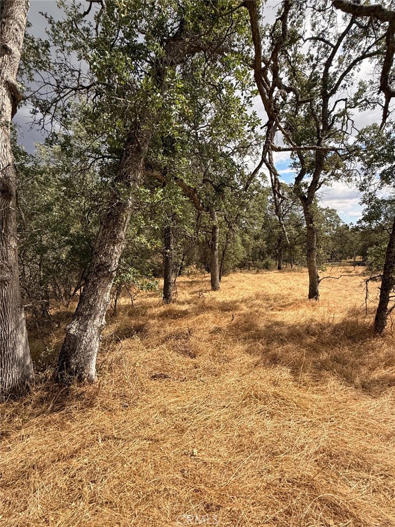 10357 Tulipan, Coulterville, CA 95311
