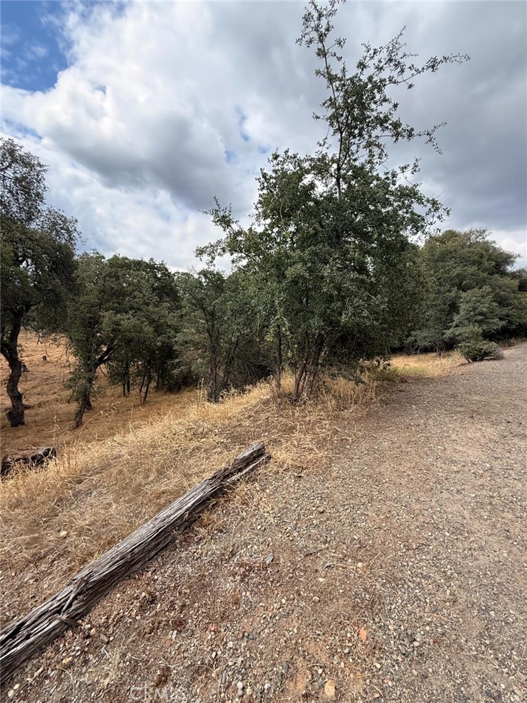 10357 Tulipan, Coulterville, CA 95311