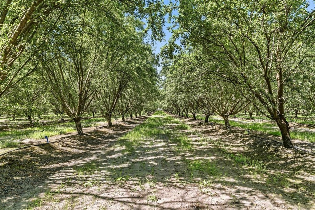 14361 Lombardy, Delhi, CA 95315