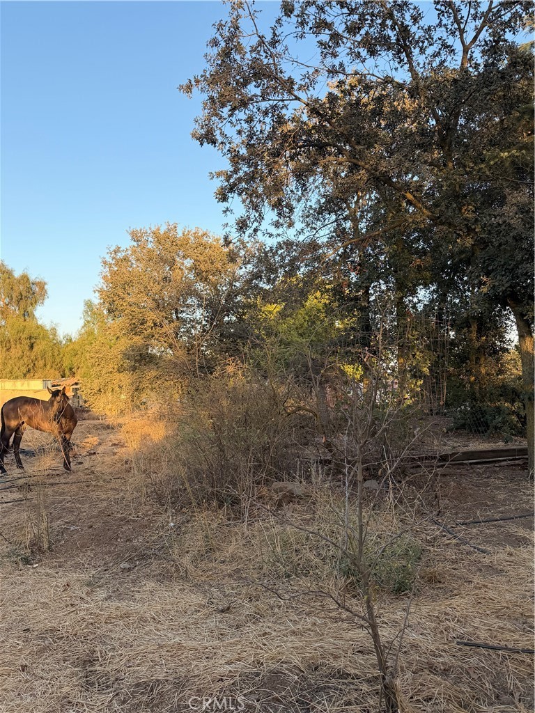 8990 East Ave, Ballico, CA 95303
