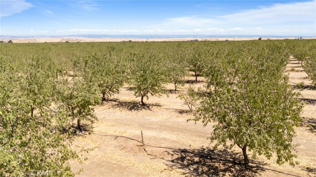 0 Buchanan Hollow Rd, Le Grand, CA 95333