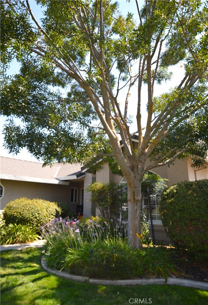 384 E Manzanita Dr, Atwater, CA 95301