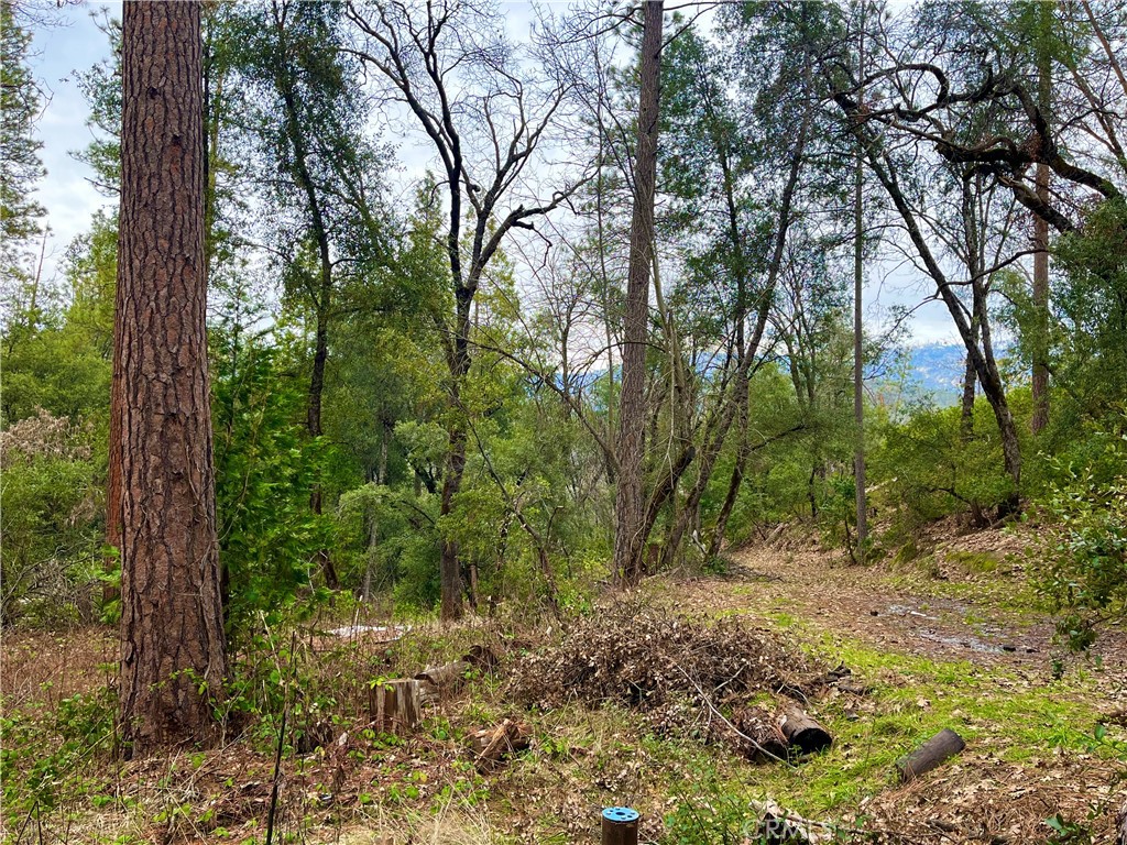 35197 Road 222, North Fork, CA 93643