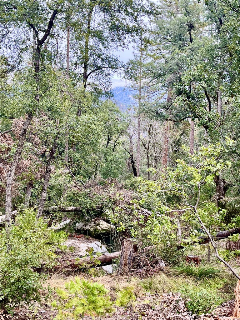 35197 Road 222, North Fork, CA 93643