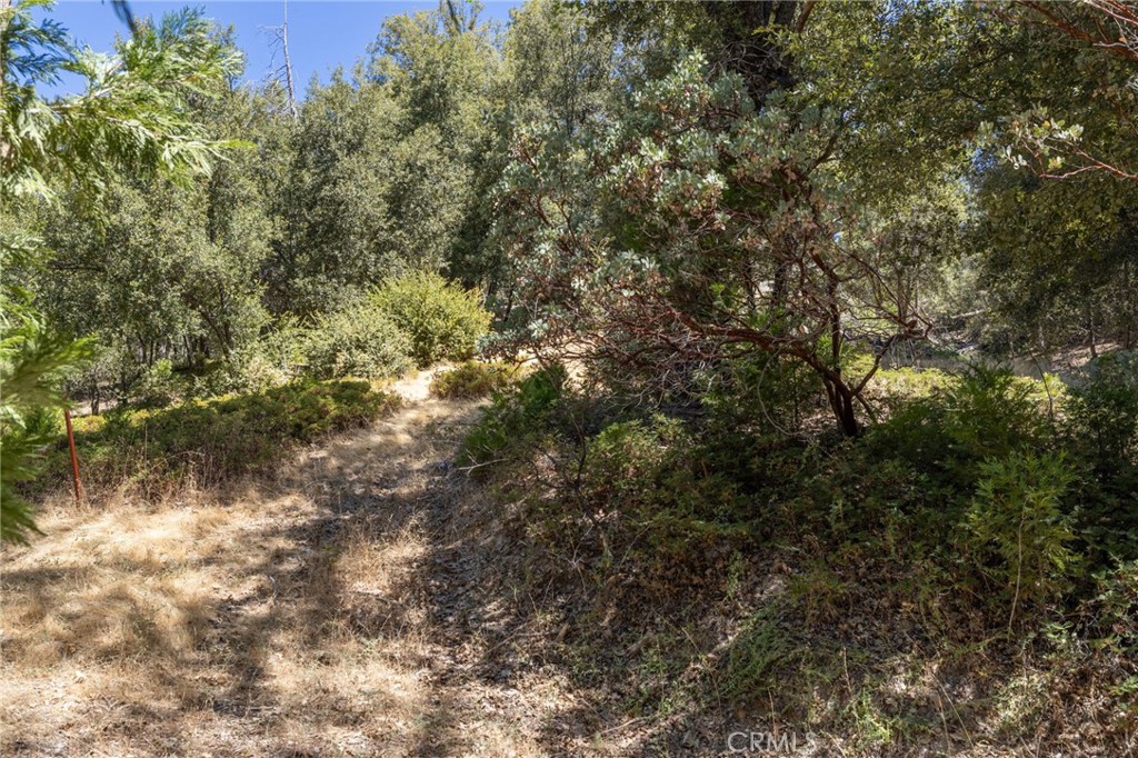 8 N N Cedar Vista Cir, Bass Lake, CA 93604