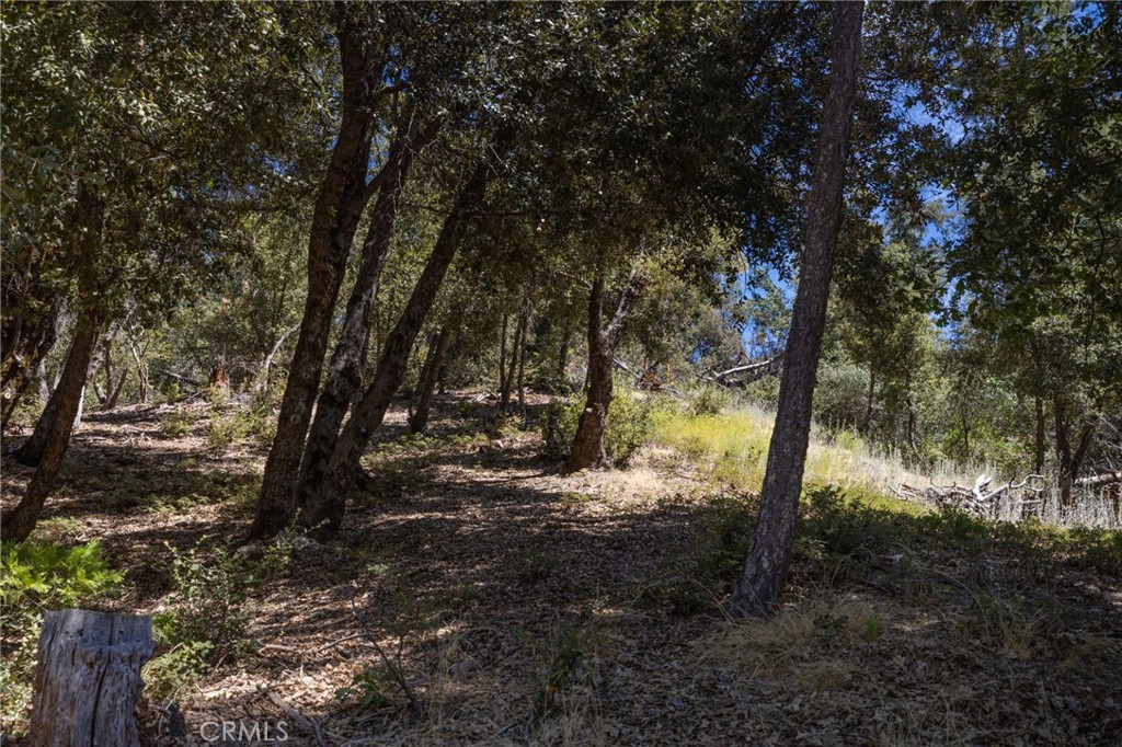 8 N N Cedar Vista Cir, Bass Lake, CA 93604