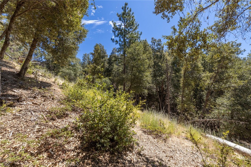 8 N N Cedar Vista Cir, Bass Lake, CA 93604