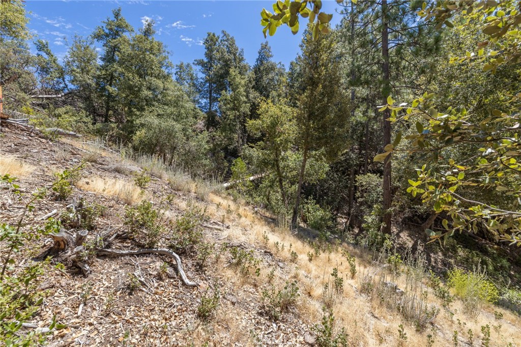 8 N N Cedar Vista Cir, Bass Lake, CA 93604