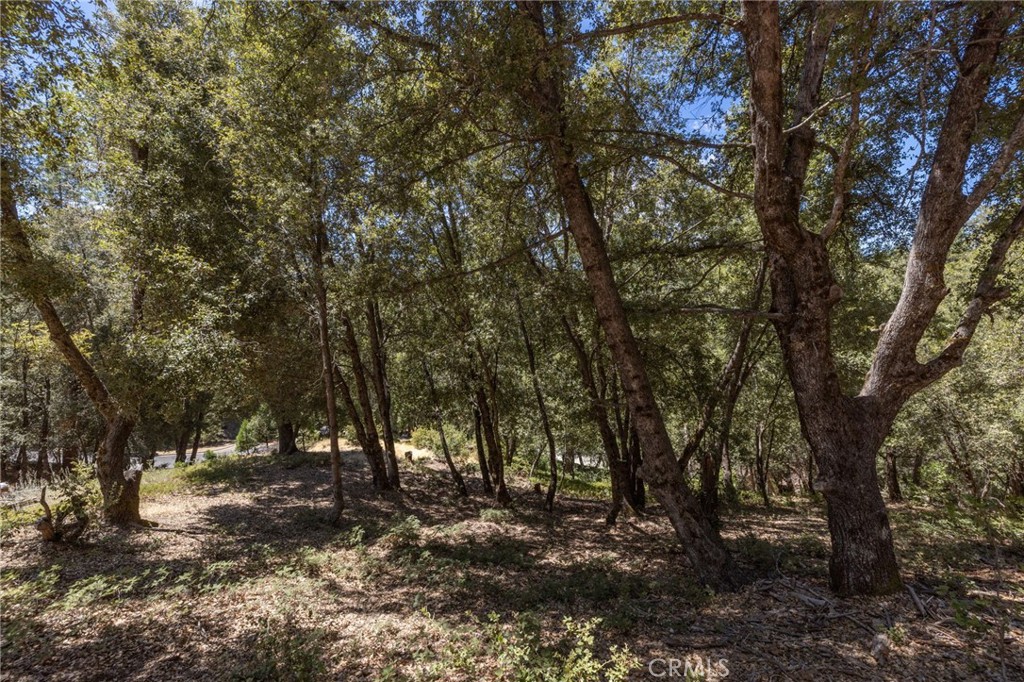 8 N N Cedar Vista Cir, Bass Lake, CA 93604