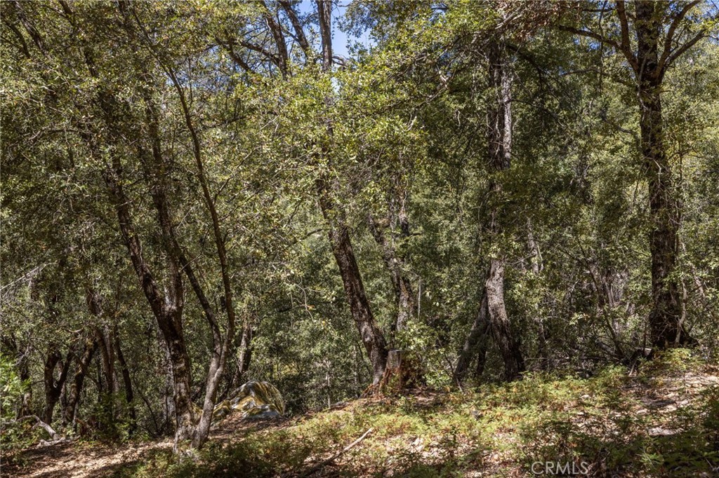 8 N N Cedar Vista Cir, Bass Lake, CA 93604