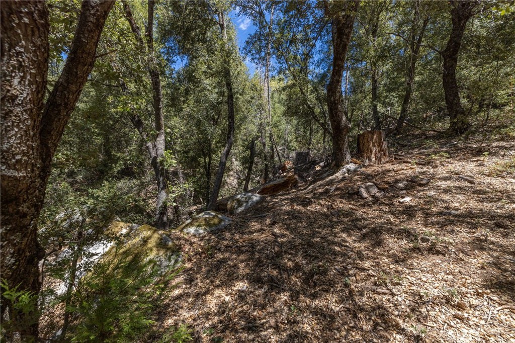 8 N N Cedar Vista Cir, Bass Lake, CA 93604
