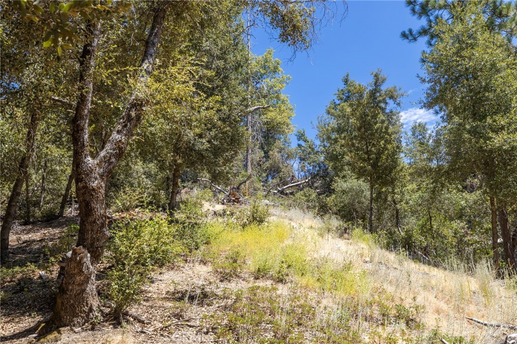 8 N N Cedar Vista Cir, Bass Lake, CA 93604