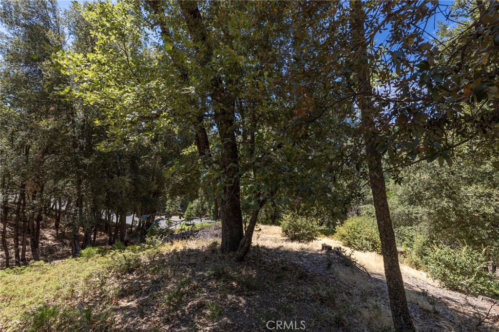 8 N N Cedar Vista Cir, Bass Lake, CA 93604