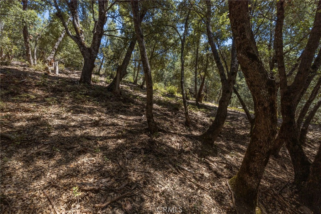 8 N N Cedar Vista Cir, Bass Lake, CA 93604