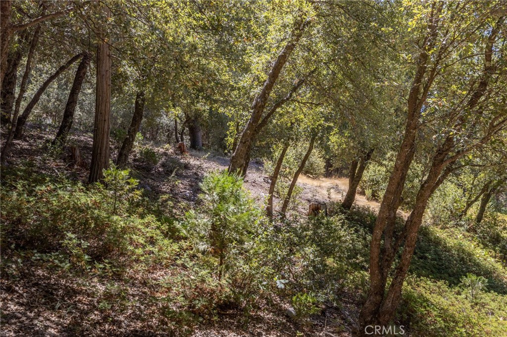 8 N N Cedar Vista Cir, Bass Lake, CA 93604