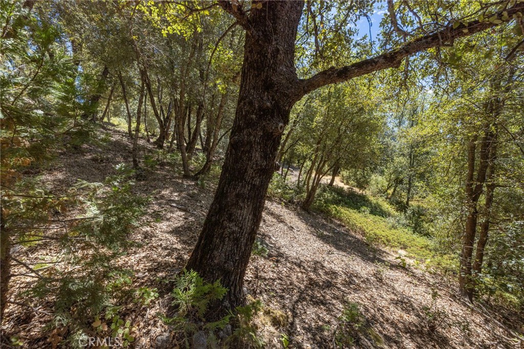 8 N N Cedar Vista Cir, Bass Lake, CA 93604