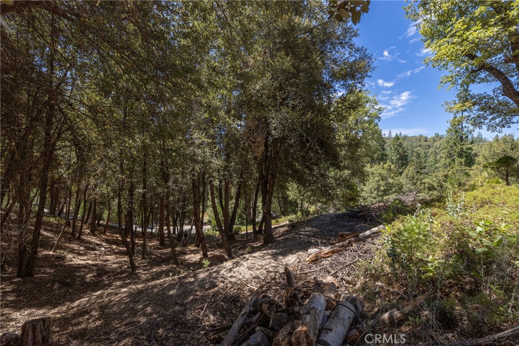 8 N N Cedar Vista Cir, Bass Lake, CA 93604