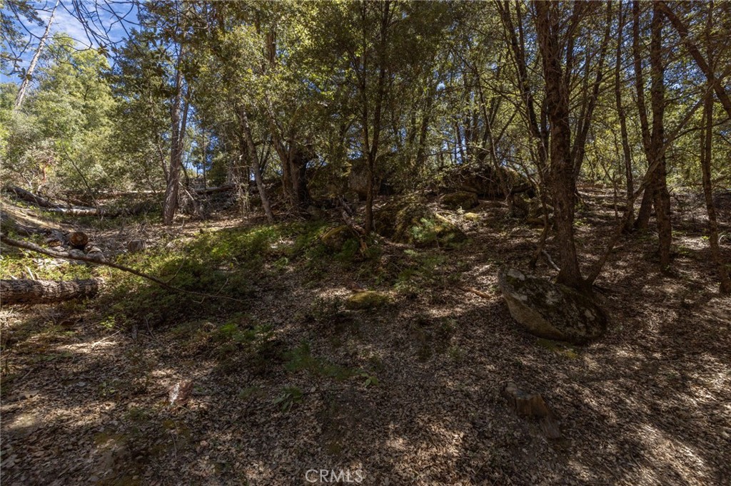 8 N N Cedar Vista Cir, Bass Lake, CA 93604