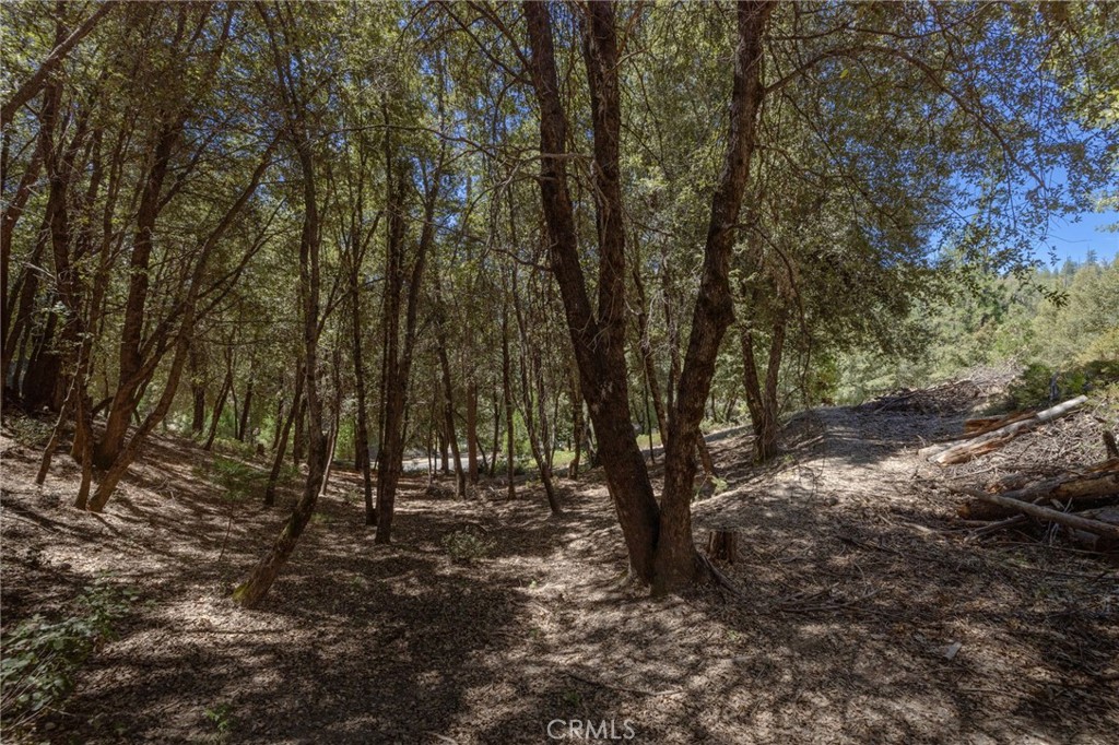 8 N N Cedar Vista Cir, Bass Lake, CA 93604
