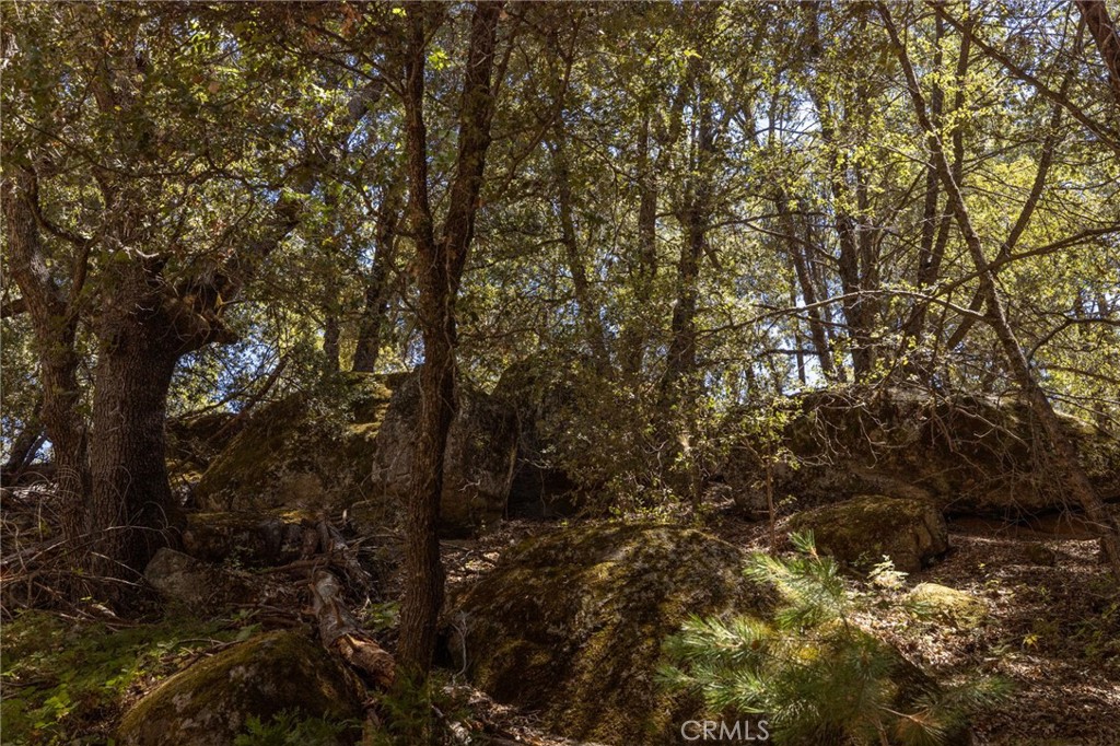 8 N N Cedar Vista Cir, Bass Lake, CA 93604