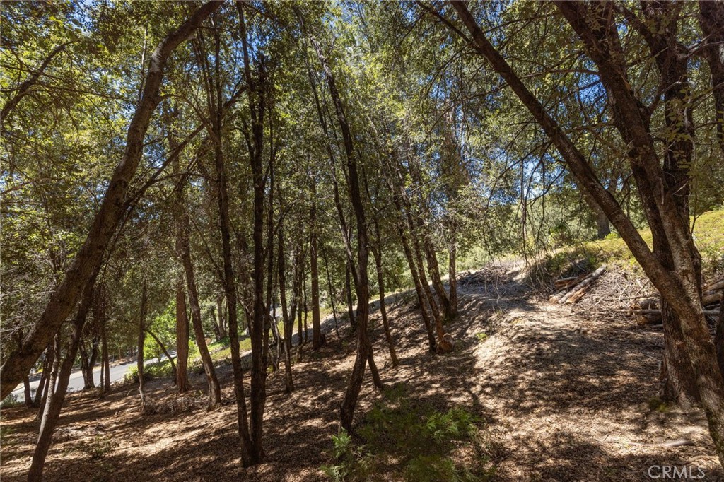 8 N N Cedar Vista Cir, Bass Lake, CA 93604