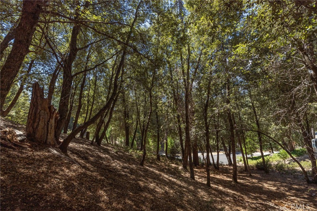 8 N N Cedar Vista Cir, Bass Lake, CA 93604