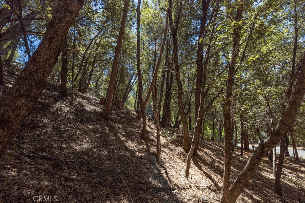 8 N N Cedar Vista Cir, Bass Lake, CA 93604