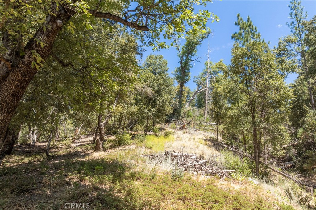 8 N N Cedar Vista Cir, Bass Lake, CA 93604