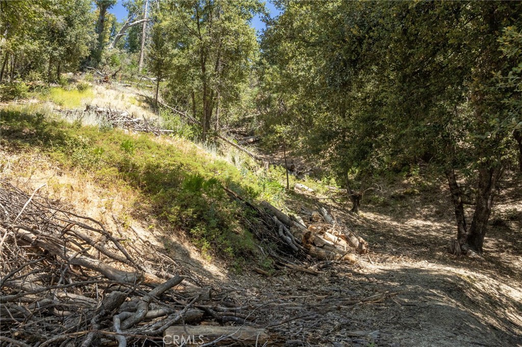 8 N N Cedar Vista Cir, Bass Lake, CA 93604