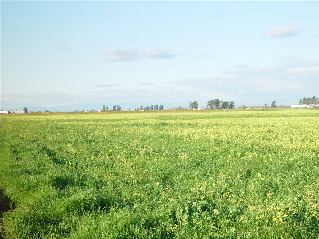20242 AVE. 21 1/2, Chowchilla, CA 93610