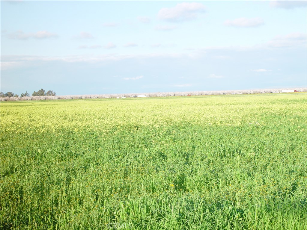 20242 AVE. 21 1/2, Chowchilla, CA 93610