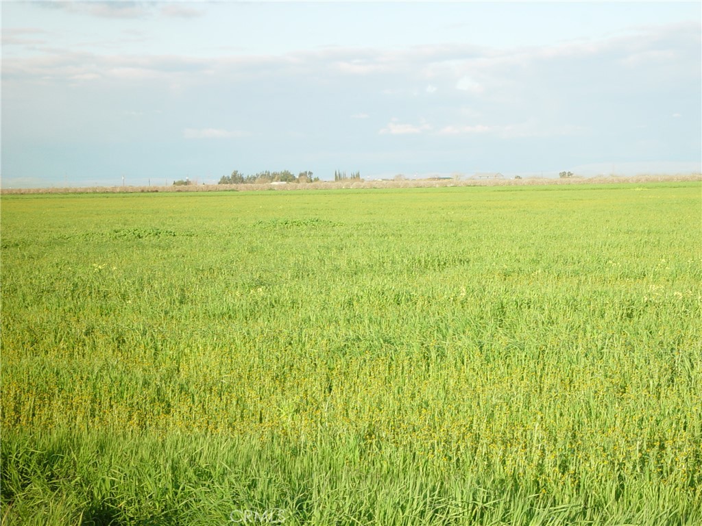 1 ROAD 18 3/4, Chowchilla, CA 93610