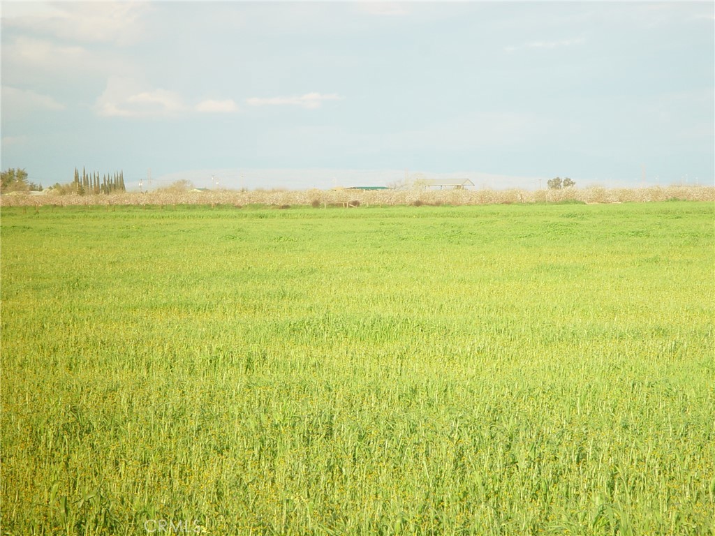 1 ROAD 18 3/4, Chowchilla, CA 93610