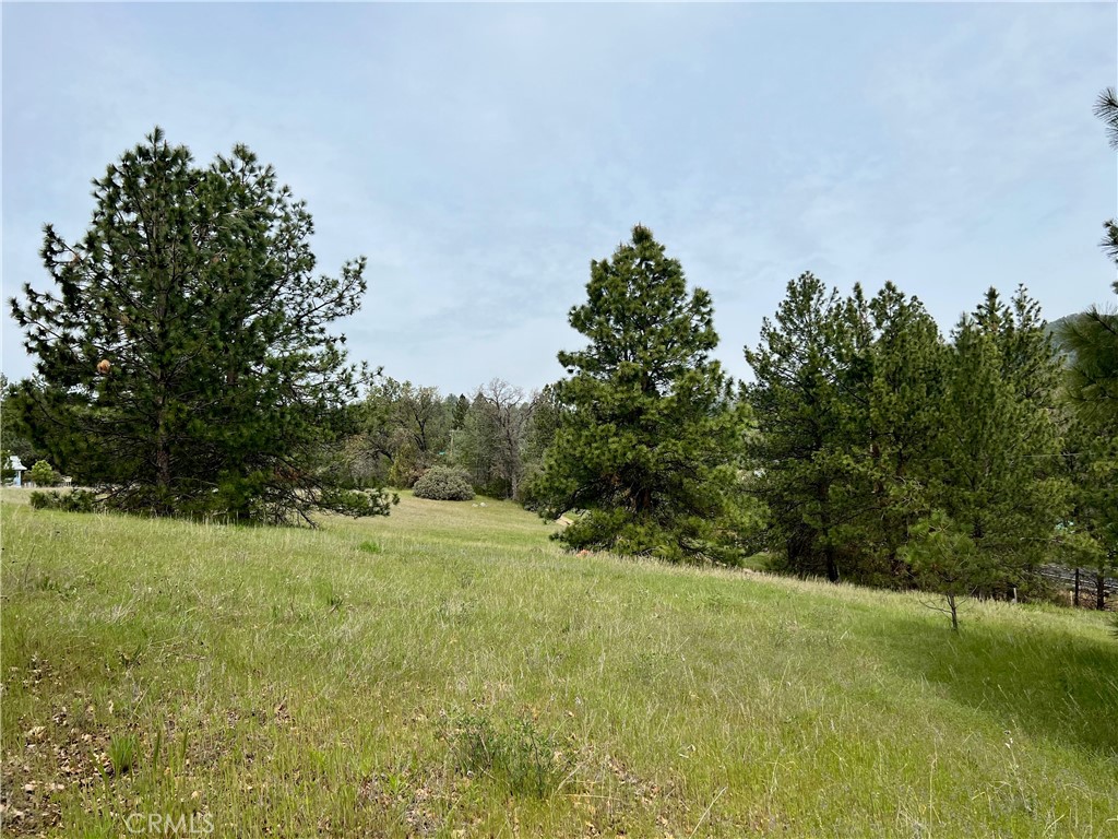 0 Watt Rd, Mariposa, CA 95338