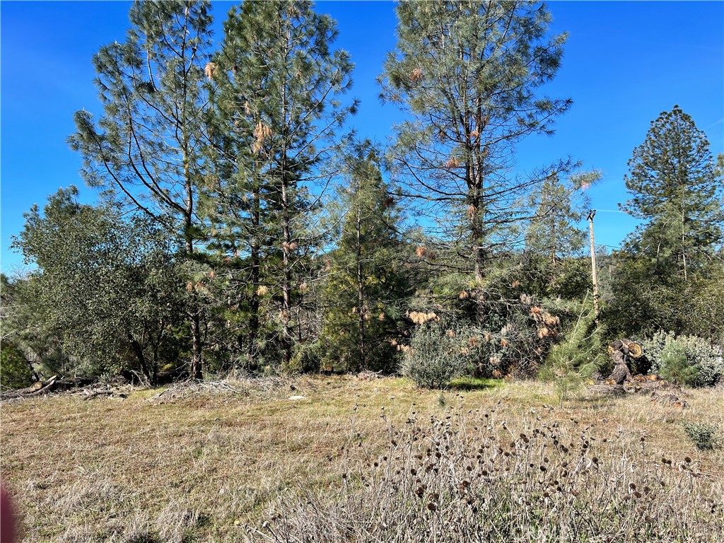 0 Watt Rd, Mariposa, CA 95338