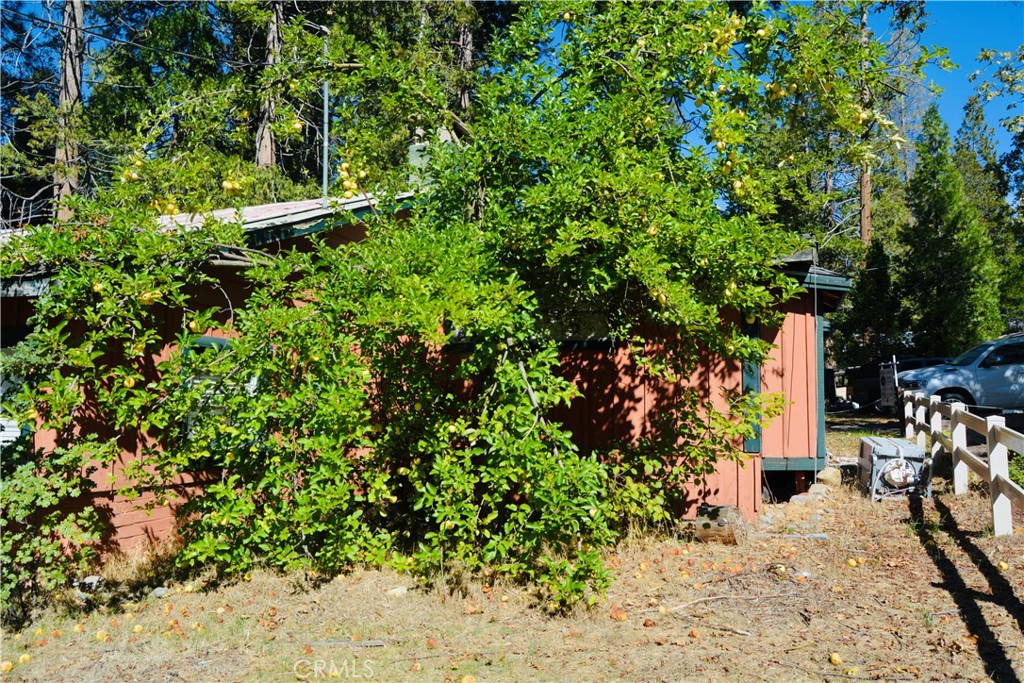 39656 Red Bud, Bass Lake, CA 93604