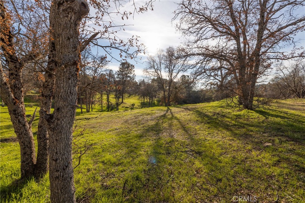 33940 Jennifer Way, Coarsegold, CA 93614